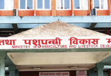 कृषि क्षेत्रको विकासका लागि देशभर ‘कृषि सर्वेक्षण’ सुरु, नतिजा पुससम्म आउने