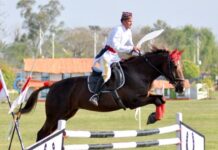 काठमाडौंमा घोडेजात्राको रौनक: परम्परा र वीरताको संगम