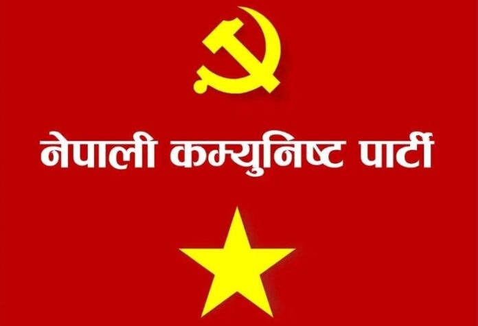 nekapapati_20251231074502